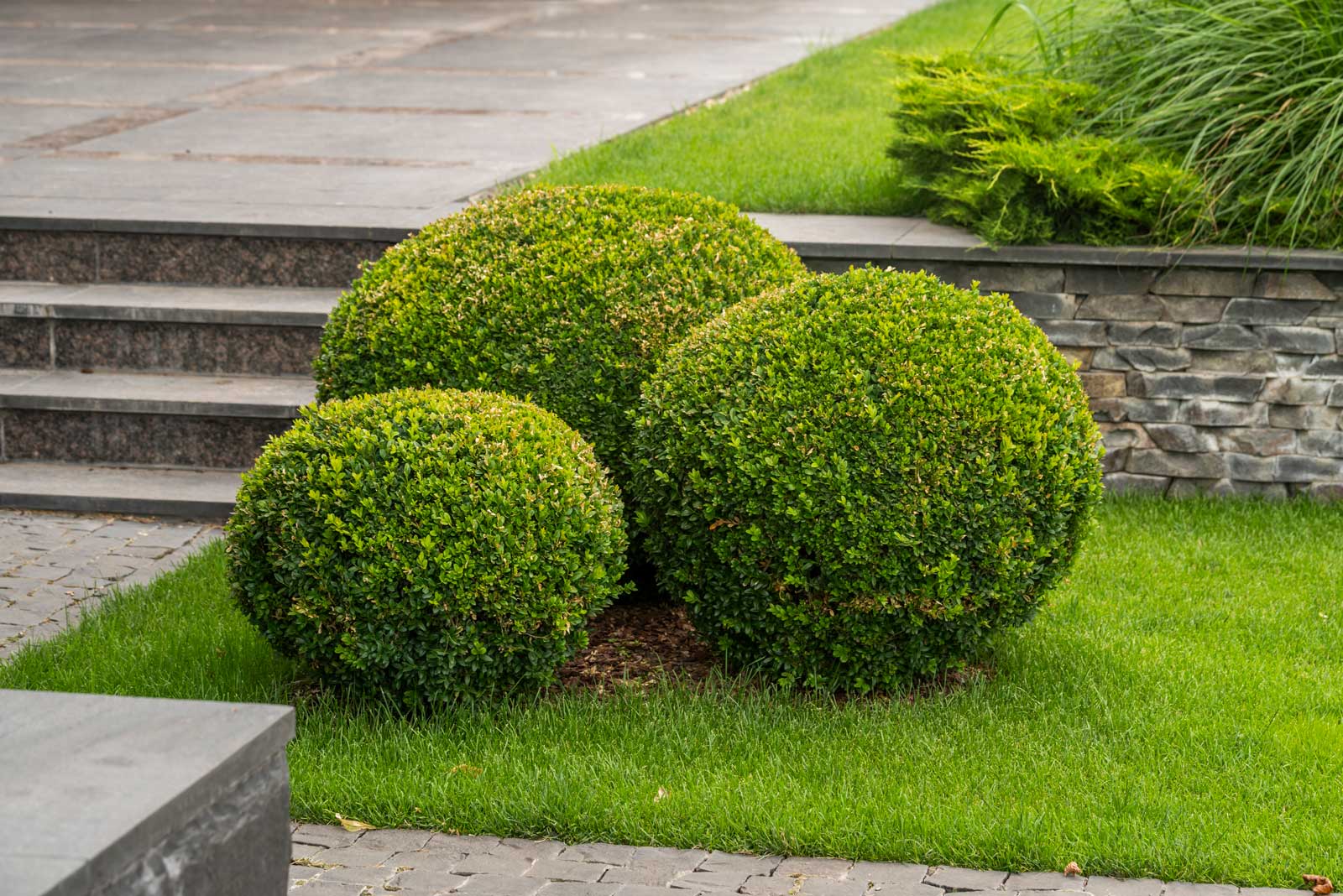 Image hover effect image